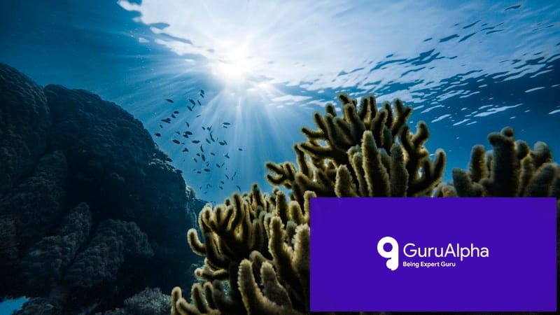 Scientists Discover 12 New Species in Pakistan's Arabian Sea Deep Trench